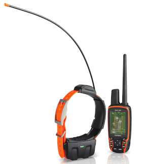 GPS-Hundeortung: Garmin Astro 320 und Hundehalsband DC 50
