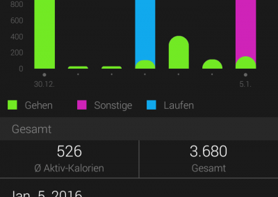 Garmin Connect Mobile: Kalorien
