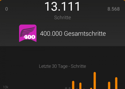 Garmin Connect Mobile: Schritte