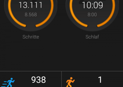 Garmin Connect Mobile: Mein Tag