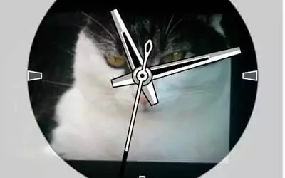 Garmin Face-It - Foto Watch Faces für Garmin Wearables 8 Garmin Face-It App Android iOS