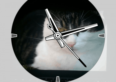 Garmin Face-It: Bild einrichten