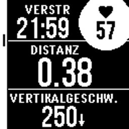 Garmin Instinct, Trainingsseite 1