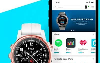 Garmin Connect IQ App