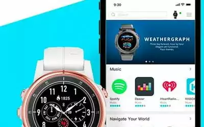Garmin Connect IQ App