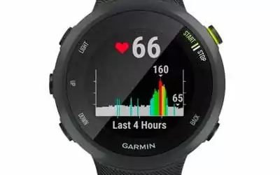 Garmin Forerunner 45