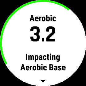 Training Effect Aerobic