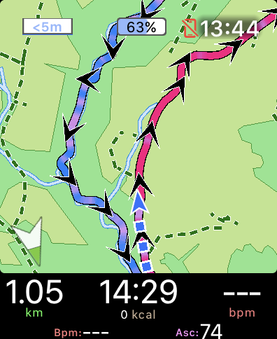 WorkOutDoors - Route auf der OSM-Karte (Apple Watch 8)