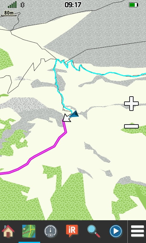Garmin TopoActive map
