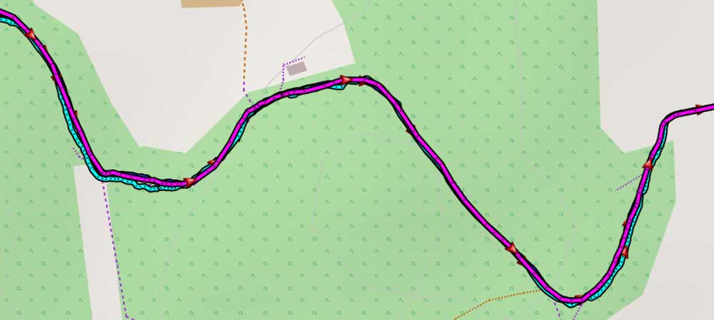 GPS accuracy in a forest, Garmin Instinct Solar