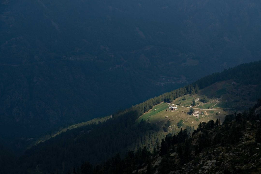 piemont mountain farm