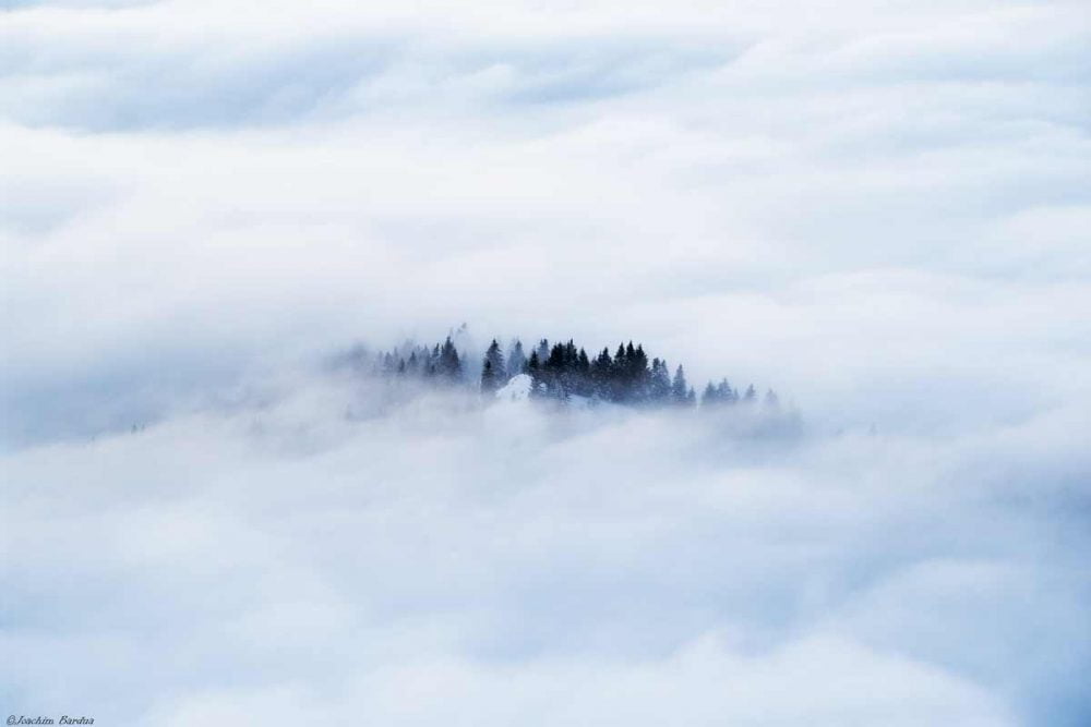 Bergwald im Nebelmeer