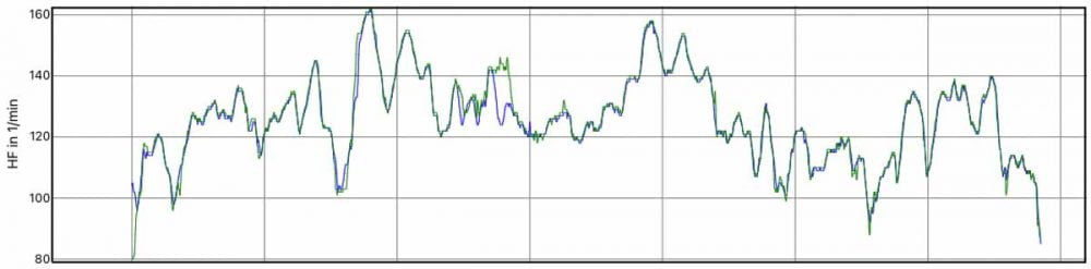 heart rate mountain bike - Garmin Edge 1030 Plus & Verity Sense (blue) vs. Garmin Enduro (internal sensor, green)