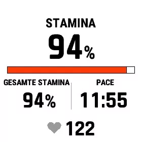 fenix 7 - Stamina (1)