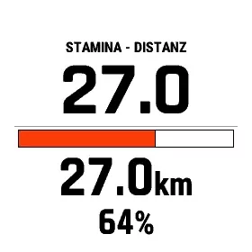 fenix 7 - Stamina (4)