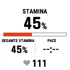 fenix 7 - Stamina (5)