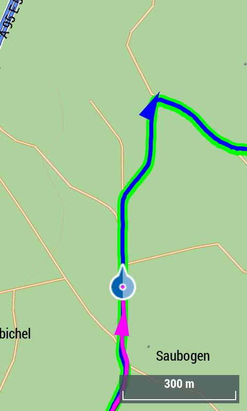 TwoNav Cross - Track