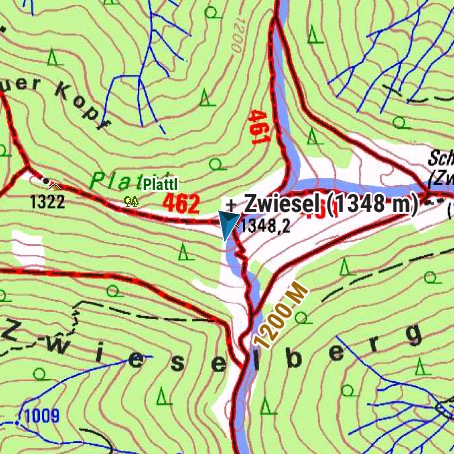 Forerunner 965 - Alpenvereinskarte (1)