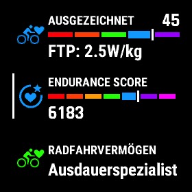 Endurance Score