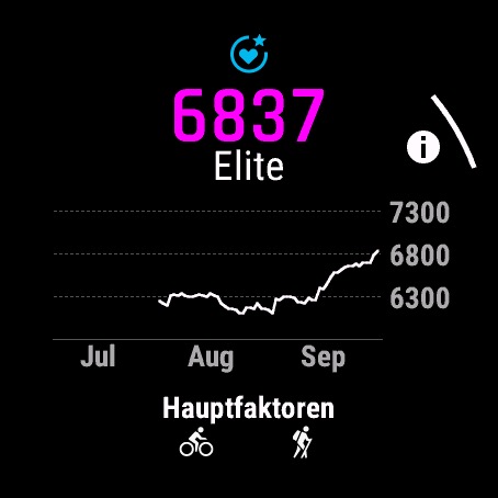 Details zum Ausdauerwert